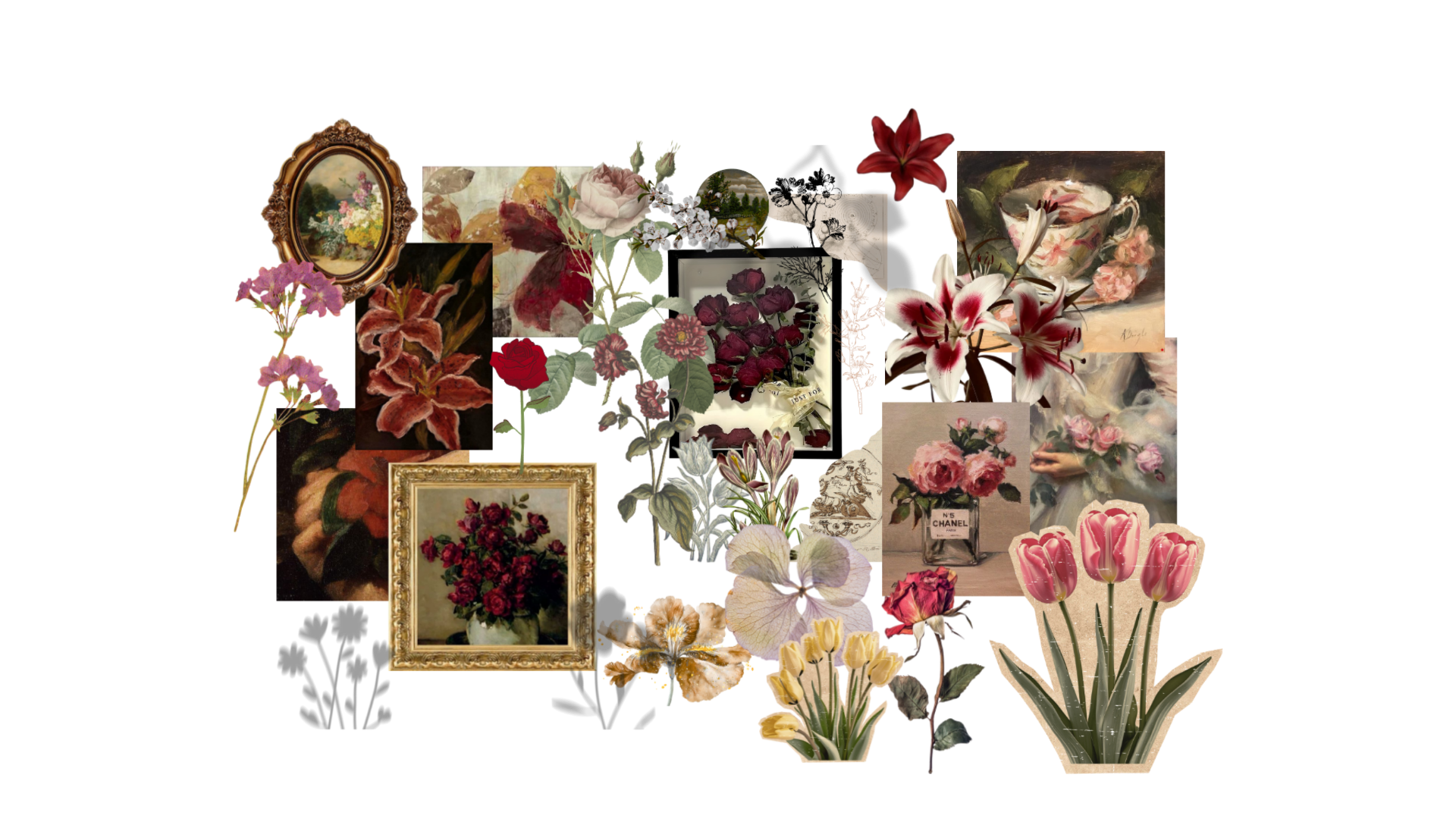 Coleção Floral Shadows — elementos florais decorativos